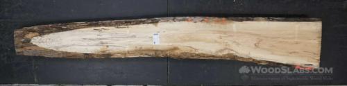 Pecan Wood Slab #C0L-U05-10YO