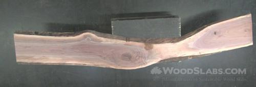 Walnut Wood Slab #6F5-BBY-87DO