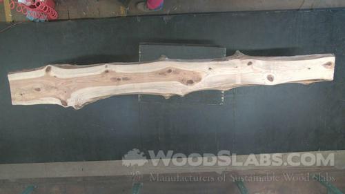 Cypress Wood Slab #C9L-GSV-O1JP