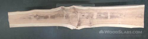 Cypress Wood Slab #JRE-QNL-I1VC
