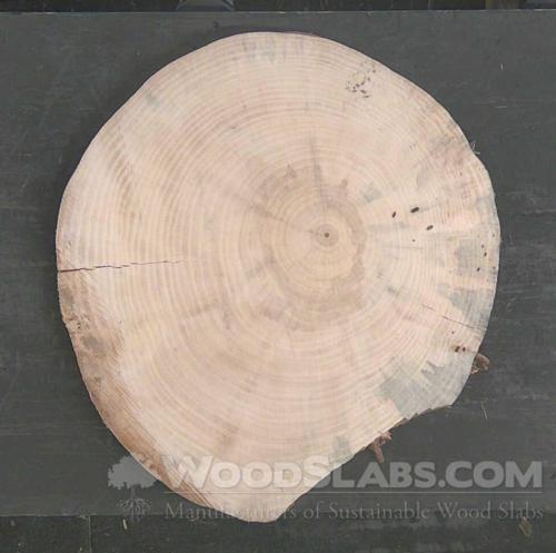Norfolk Island Pine Wood Slab #M1H-JOE-525R