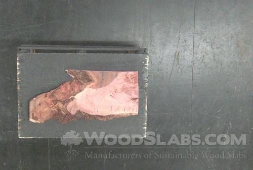 Eucalyptus Wood Slab #H3A-538-VI5J