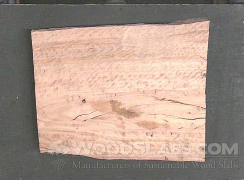 Eucalyptus Wood Slab #PNC-7KU-LPAM