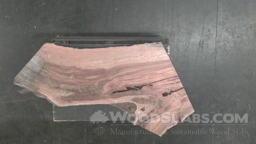 Australian Beefwood Wood Slab #N01-T72-44H5