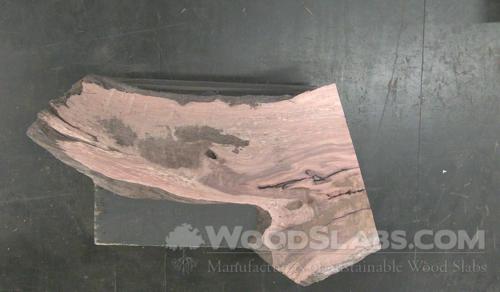 Australian Beefwood Wood Slab #QM3-8Y7-BVJQ