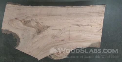 Eucalyptus Wood Slab #5PI-V7W-KCXD