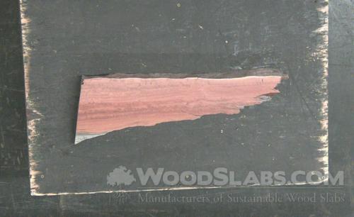Eucalyptus Wood Slab #S9W-ZVC-G7LD