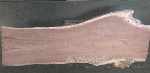 Walnut Wood Slab #0HI-8GX-KR0P