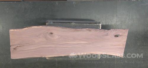 Walnut Wood Slab #KPM-WQ4-19C3
