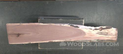 Walnut Wood Slab #72L-8DU-03ZJ