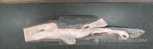 Tree of Heaven Wood Slab #UDT-IYG-4DCN