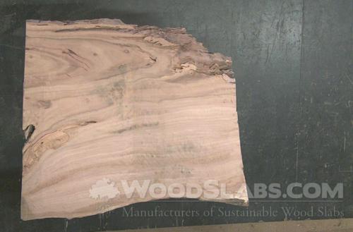 Eucalyptus Wood Slab #132-IYA-KZ2E