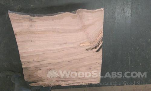 Eucalyptus Wood Slab #FN4-2EI-3WJI