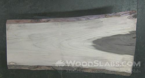 Rainbow Poplar Wood Slab #8Y4-DQS-2ZYS