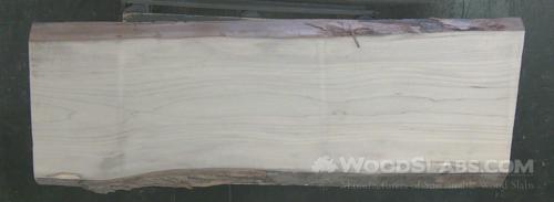 Rainbow Poplar Wood Slab #5KR-LIT-13KL