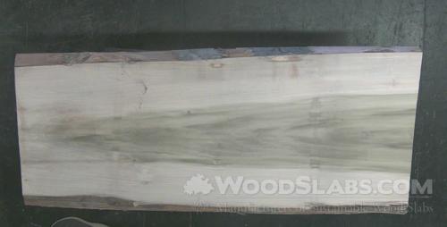 Rainbow Poplar Wood Slab #GF5-C2D-5EHT