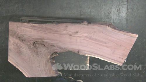 Walnut Wood Slab #OI0-MI7-RRL0