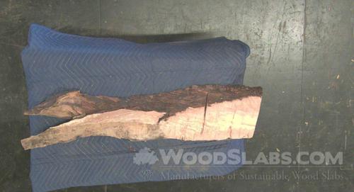 Australian Beefwood Wood Slab #K4V-3KQ-VK2J