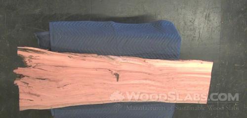 Eucalyptus Wood Slab #UVA-G53-K3V1