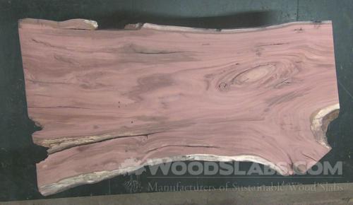 Eucalyptus Wood Slab #ZB6-6JC-V8S8