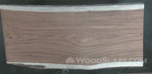 Parota Wood Slab #3K1-0XQ-LGDY