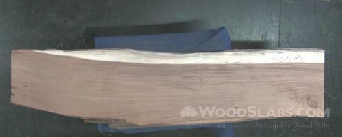 Parota Wood Slab #AIG-NRA-LK2U
