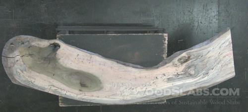 Tulip Poplar Wood Slab #PO2-H2W-3ZZQ