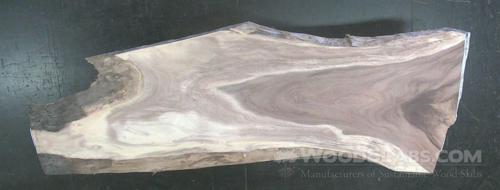 Parota Wood Slab #AVD-RUT-H15C