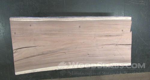 Monkey Pod Wood Slab #YYD-6EH-Z4X0