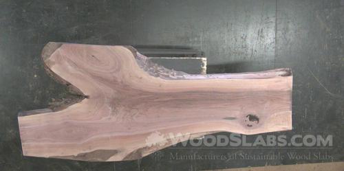 Walnut Wood Slab #O19-QUB-EEL6