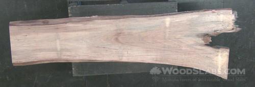 Sycamore Wood Slab #V1W-K6A-FOK7