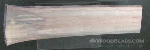 Sycamore Wood Slab #DFD-9TL-66VJ