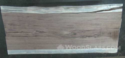 Parota Wood Slab #QGU-ZGQ-SWD9