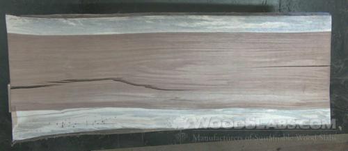 Parota Wood Slab #EK5-ETU-DVYD
