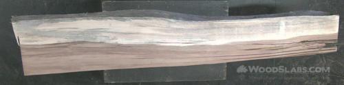 Parota Wood Slab #EL0-E40-BNA5