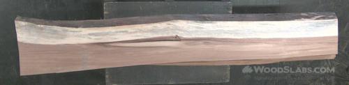 Parota Wood Slab #NSZ-8KT-JK61