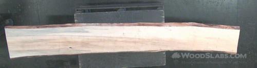 Norfolk Island Pine Wood Slab #SMA-P18-ENKY