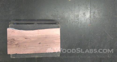 Australian Beefwood Wood Slab #43U-BXA-7ZC3