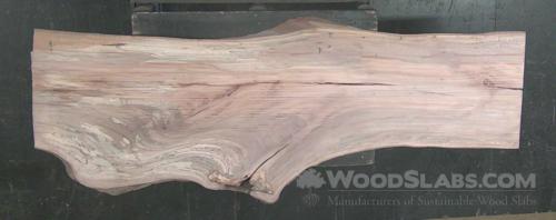 Sycamore Wood Slab #8RV-DRS-EH2I
