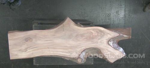 Sycamore Wood Slab #E84-29C-T6W3