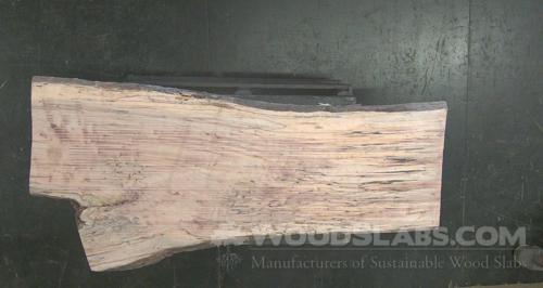 Spalted Maple Wood Slab #BFM-SXI-T8QB