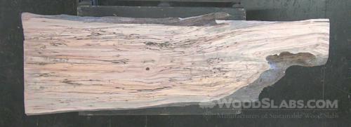 Spalted Maple Wood Slab #90P-7IY-U3RI