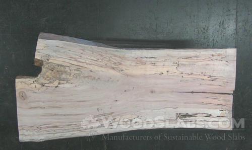 Spalted Maple Wood Slab #Q8C-0FS-DH7A