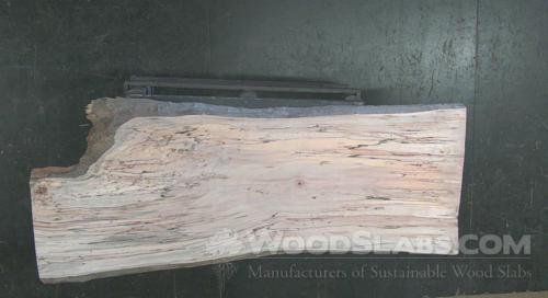 Spalted Maple Wood Slab #126-YKX-UZYS