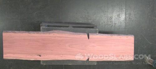 Eucalyptus Wood Slab #0RA-YT4-MKW0