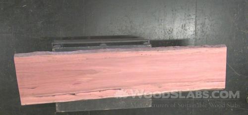 Eucalyptus Wood Slab #PG3-XJR-RT47