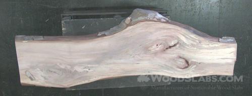 Sycamore Wood Slab #UY0-T2Q-MARV