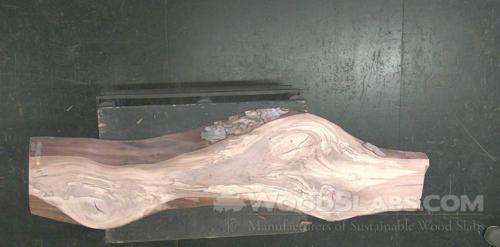 Sycamore Wood Slab #8NI-3IB-C8D6