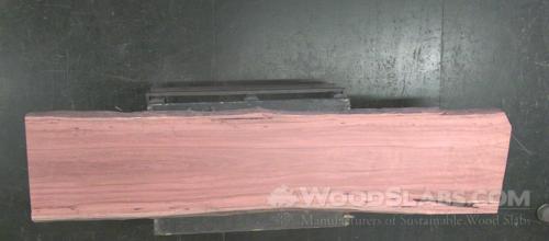 Eucalyptus Wood Slab #KOP-68X-MKSZ