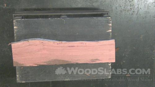 Eucalyptus Wood Slab #55D-A5L-C6SX